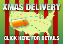 Christmas Shipping Policy