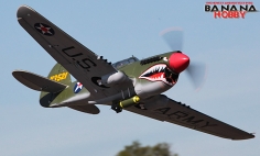 8 CH BlitzRCWorks Green Super P-40E Warhawk RC Warbird Airplane PNP