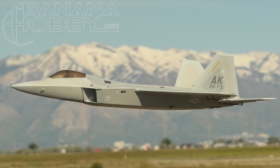 8 CH AF Model 1:10 F-22 Raptor 1.8M (71