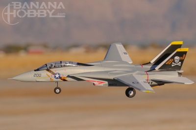 Xfly-ツインrc飛行機モデル,edf jet,f14,F-14, 40mm,pnp