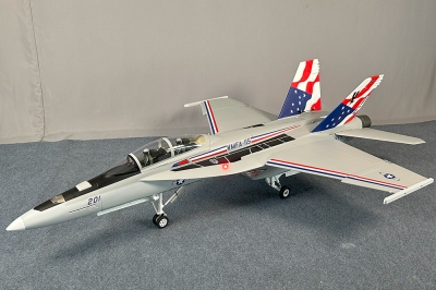 10 CH JetRuler Scheme03 1/8.5 F/A-18F Super Hornet 2.1M