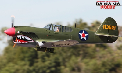rc p 40 warhawk arf