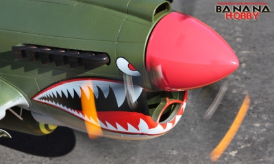 rc p 40 warhawk electric