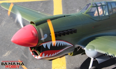 rc p 40 warhawk arf