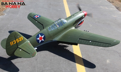 rc p 40 warhawk electric